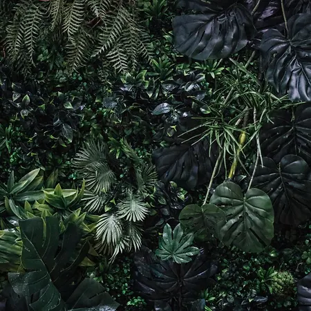 De La Loze Courchevel