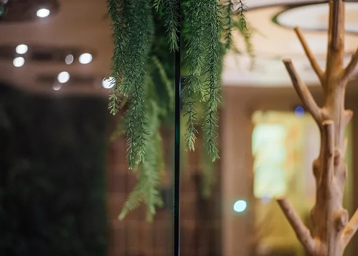 Ξενοδοχείο De La Loze 4*