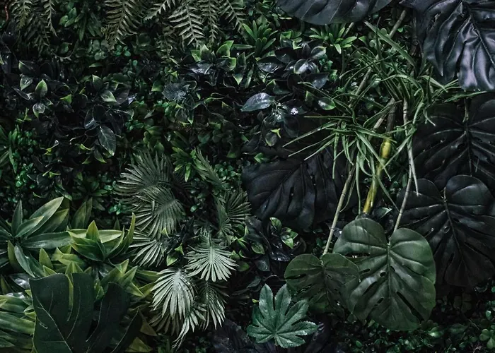 De La Loze Courchevel